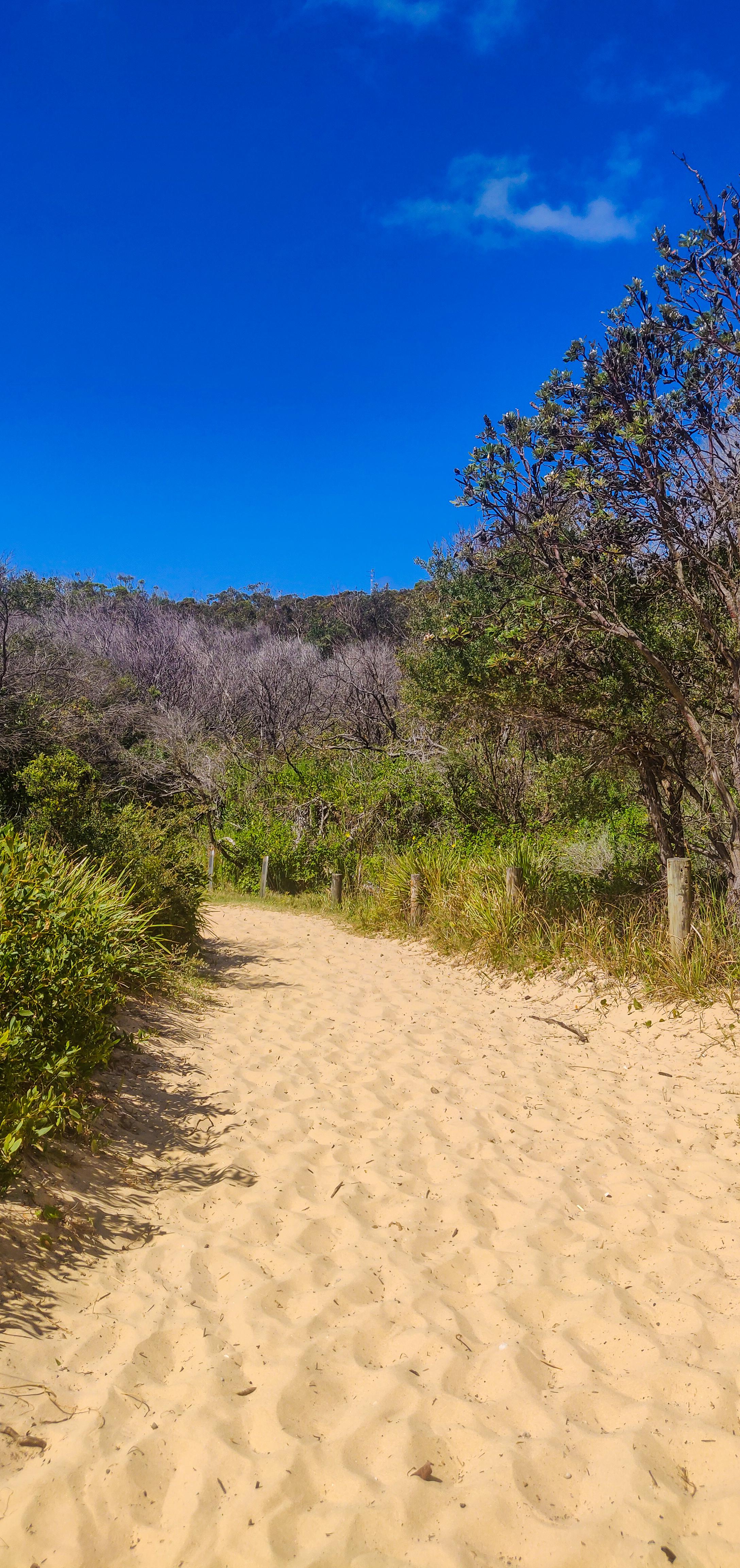 Cape Banks Walk